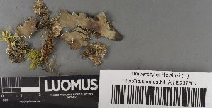  ( - H9237607)  @11 [ ] by-nc (2023) Erkka Laine Luomus