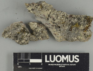 ( - H9237644.1)  @11 [ ] by-nc (2024) Erkka Laine Luomus