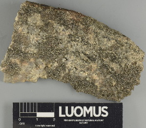  ( - H9237658.1)  @11 [ ] by-nc (2024) Erkka Laine Luomus