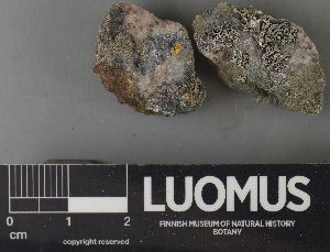  ( - H9237675)  @11 [ ] by-nc (2023) Erkka Laine Luomus