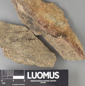  ( - H9237829)  @11 [ ] by-nc (2023) Erkka Laine Luomus