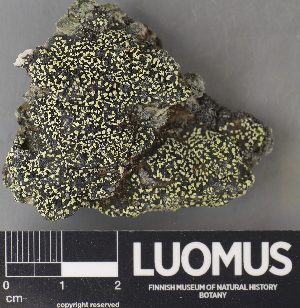 ( - H9237915)  @11 [ ] by-nc (2023) Erkka Laine Luomus