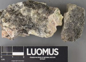  ( - H9238138)  @11 [ ] by-nc (2023) Erkka Laine Luomus