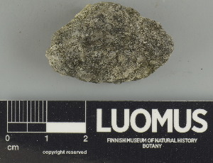  ( - H9247563)  @11 [ ] by-nc (2024) Erkka Laine Luomus