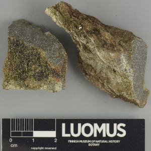  ( - H9247575)  @11 [ ] by-nc (2024) Erkka Laine Luomus
