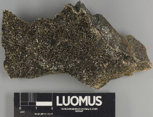  ( - H9247577)  @11 [ ] by-nc (2024) Erkka Laine Luomus