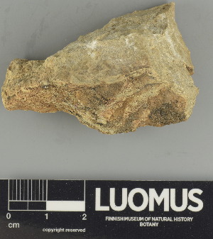  ( - H9247588)  @11 [ ] by-nc (2024) Erkka Laine Luomus