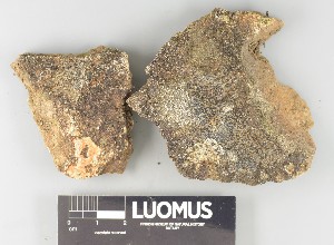  ( - H9250375)  @11 [ ] by-nc (2025) Erkka Laine Luomus