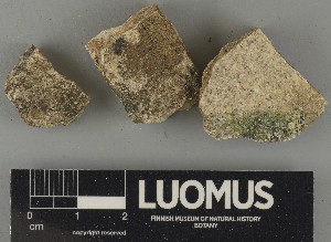  ( - H9250427)  @11 [ ] by-nc (2025) Erkka Laine Luomus