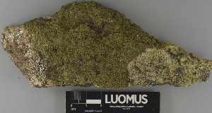  ( - H9250536)  @11 [ ] by-nc (2025) Erkka Laine Luomus