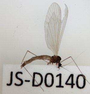  ( - JS-D0140)  @11 [ ] by-nc (2021) Juha Salokannel Unspecified