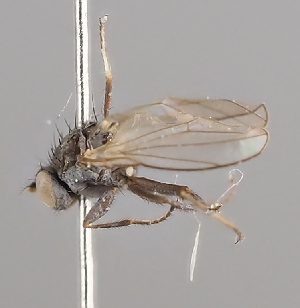  ( - KWi-2248)  @11 [ ] by-nc (2024) Erkka Laine University of Oulu