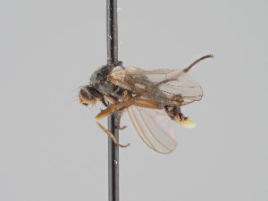  ( - KWi-1658)  @11 [ ] CreativeCommons - Attribution Non-Commercial (2018) Marko Mutanen University of Oulu