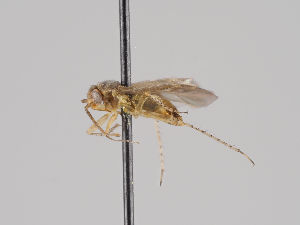  ( - KZ.7802)  @11 [ ] CreativeCommons - Attribution Non-Commercial (2018) Marko Mutanen University of Oulu