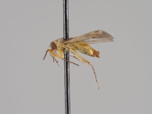  ( - KZ.7803)  @11 [ ] CreativeCommons - Attribution Non-Commercial (2018) Marko Mutanen University of Oulu
