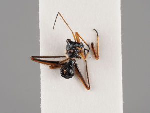  ( - MZH_KZ.7891)  @11 [ ] CreativeCommons - Attribution Non-Commercial (2018) Marko Mutanen University of Oulu