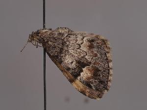  ( - MTah325)  @11 [ ] by-nc (2022) Marko Tähtinen Unspecified