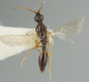  ( - MZH_GQ.6738)  @11 [ ] by-nc (2023) Simo Vaananen Luomus