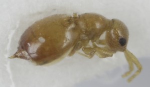  ( - MZH_GQ.6934)  @11 [ ] by-nc (2024) Simo Vaananen Luomus