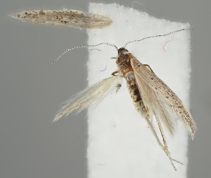  ( - NH.2108)  @11 [ ] by-nc (2023) Anssi V&auml;h&auml;talo University of Jyv&auml;skyl&auml;