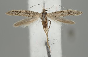  ( - NH.2109)  @11 [ ] by-nc (2023) Anssi V&auml;h&auml;talo University of Jyv&auml;skyl&auml;