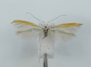  ( - TAB0029)  @11 [ ] by-nc (2022) Jukka Tabell Unspecified