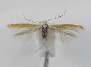  ( - TAB0030)  @11 [ ] by-nc (2022) Jukka Tabell Unspecified