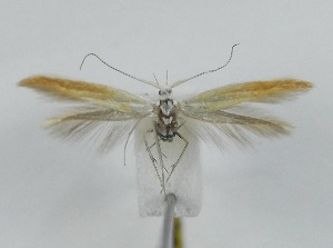  ( - TAB0031)  @11 [ ] by-nc (2022) Jukka Tabell Unspecified