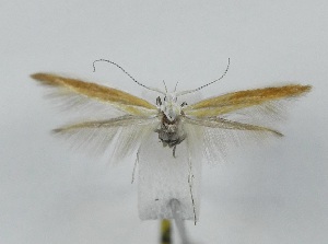  ( - TAB0032)  @11 [ ] by-nc (2022) Jukka Tabell Unspecified