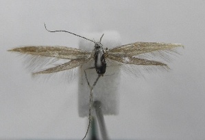  ( - TAB0037)  @11 [ ] by-nc (2022) Jukka Tabell Unspecified