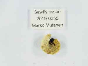  ( - ZMUO.039376)  @11 [ ] by-nc (2020) Marko Mutanen University of Oulu