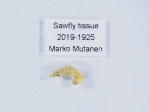  ( - ZMUO.040872)  @11 [ ] by-nc (2020) Marko Mutanen University of Oulu