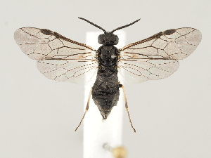  ( - ZMUO.046197)  @11 [ ] by-nc (2021) Marko Mutanen University of Oulu