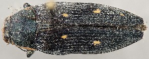  ( - ZMUO.079635)  @11 [ ] by-nc (2024) Marko Mutanen University of Oulu