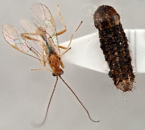  ( - ZMUO.079671)  @11 [ ] by-nc (2024) Marko Mutanen University of Oulu