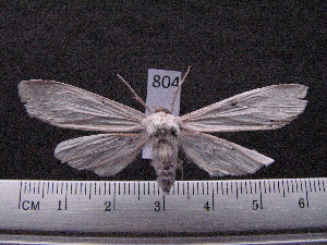  ( - MMZ0633)  @12 [ ] Copyright (2010) Mauricio M. Zenker Universidade Federal do Parana