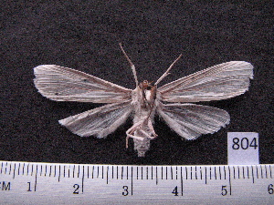  ( - MMZ0633)  @12 [ ] Copyright (2010) Mauricio M. Zenker Universidade Federal do Parana