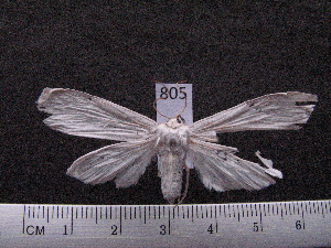  ( - MMZ0634)  @12 [ ] Copyright (2010) Mauricio M. Zenker Universidade Federal do Parana