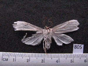  ( - MMZ0634)  @12 [ ] Copyright (2010) Mauricio M. Zenker Universidade Federal do Parana