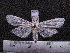  ( - MMZ0655)  @12 [ ] Copyright (2010) Mauricio M. Zenker Universidade Federal do Parana