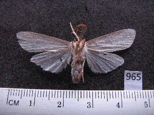  ( - MMZ0655)  @12 [ ] Copyright (2010) Mauricio M. Zenker Universidade Federal do Parana