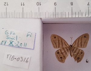  ( - MB-0316)  @11 [ ] Copyright (2020) Mohamed Benmesbah Research collection of Mohamed Benmesbah