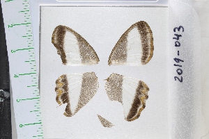  ( - ORES-2019-043)  @11 [ ] CC-by (2023) Mohamed Benmesbah Research Collection of Mohamed Benmesbah