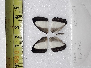  ( - ORES-2021-001)  @11 [ ] CC-by (2023) Mohamed Benmesbah Research Collection of Mohamed Benmesbah