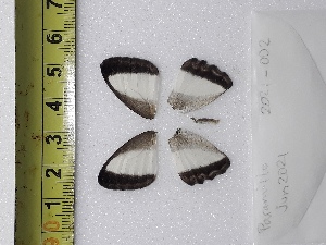  ( - ORES-2021-002)  @11 [ ] CC-by (2023) Mohamed Benmesbah Research Collection of Mohamed Benmesbah