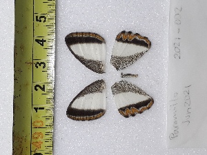  ( - ORES-2021-002)  @11 [ ] CC-by (2023) Mohamed Benmesbah Research Collection of Mohamed Benmesbah