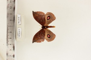  ( - CUA-24-43)  @11 [ ] CCby (2024) Mohamed Benmesbah Research collection of M. Benmesbah