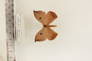  ( - CUA-24-43)  @11 [ ] CCby (2024) Mohamed Benmesbah Research collection of M. Benmesbah