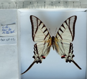  ( - PRO-GF-02)  @11 [ ] CC-by (2023) Mohamed Benmesbah Research Collection of Mohamed Benmesbah