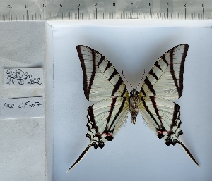  ( - PRO-GF-07)  @11 [ ] CC-by (2023) Mohamed Benmesbah Research Collection of Mohamed Benmesbah